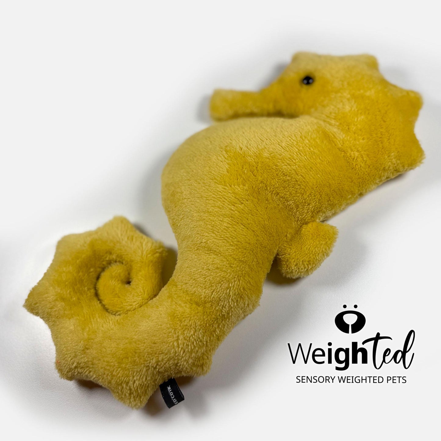 700g Seahorse 'Penelope'