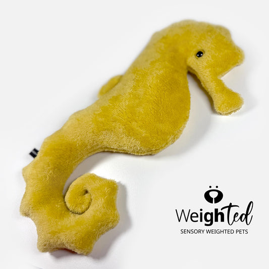 700g Seahorse 'Penelope'