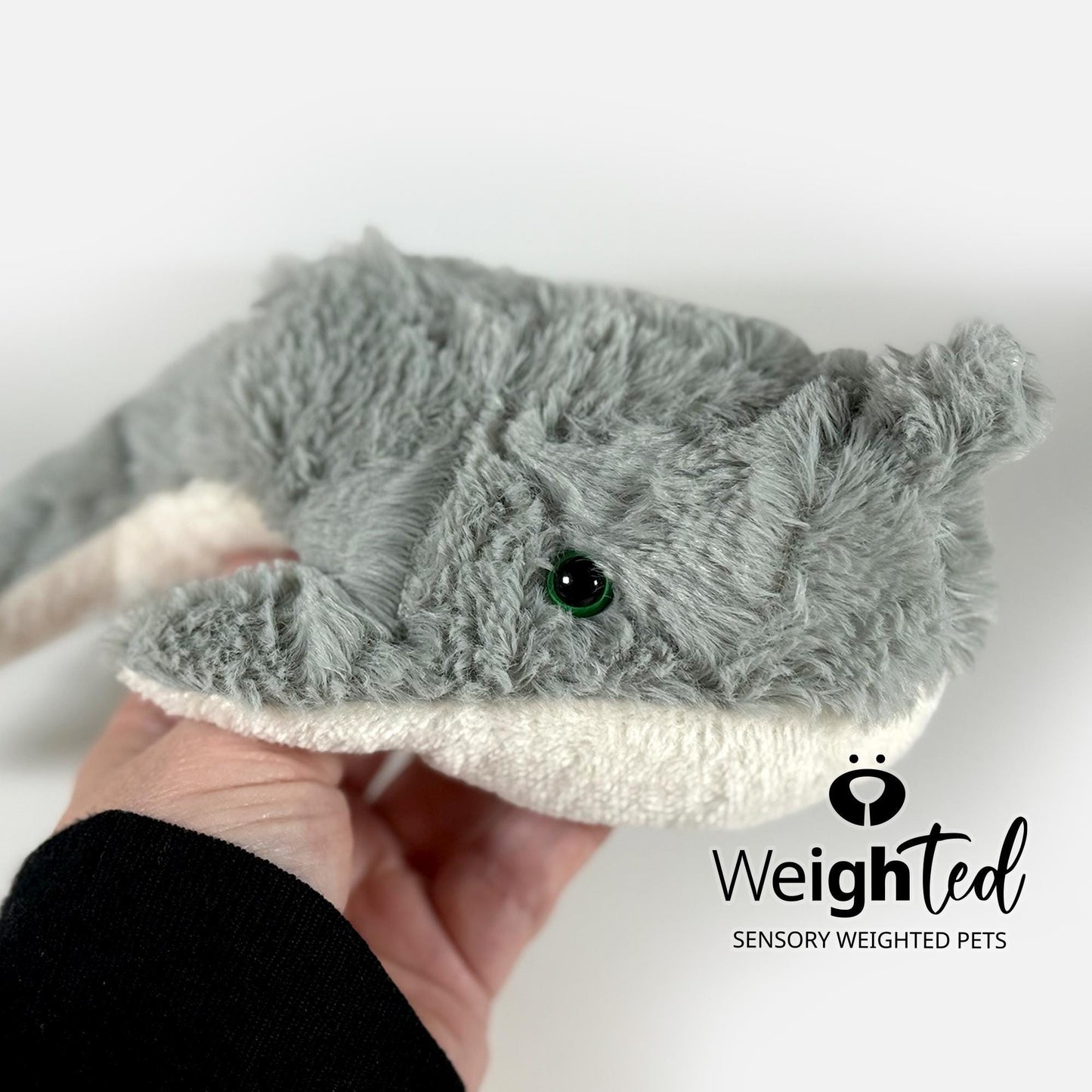1.5kg Narwhal 'Eva'