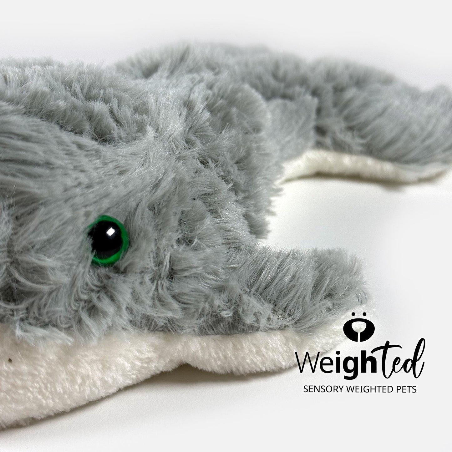 1.5kg Narwhal 'Eva'
