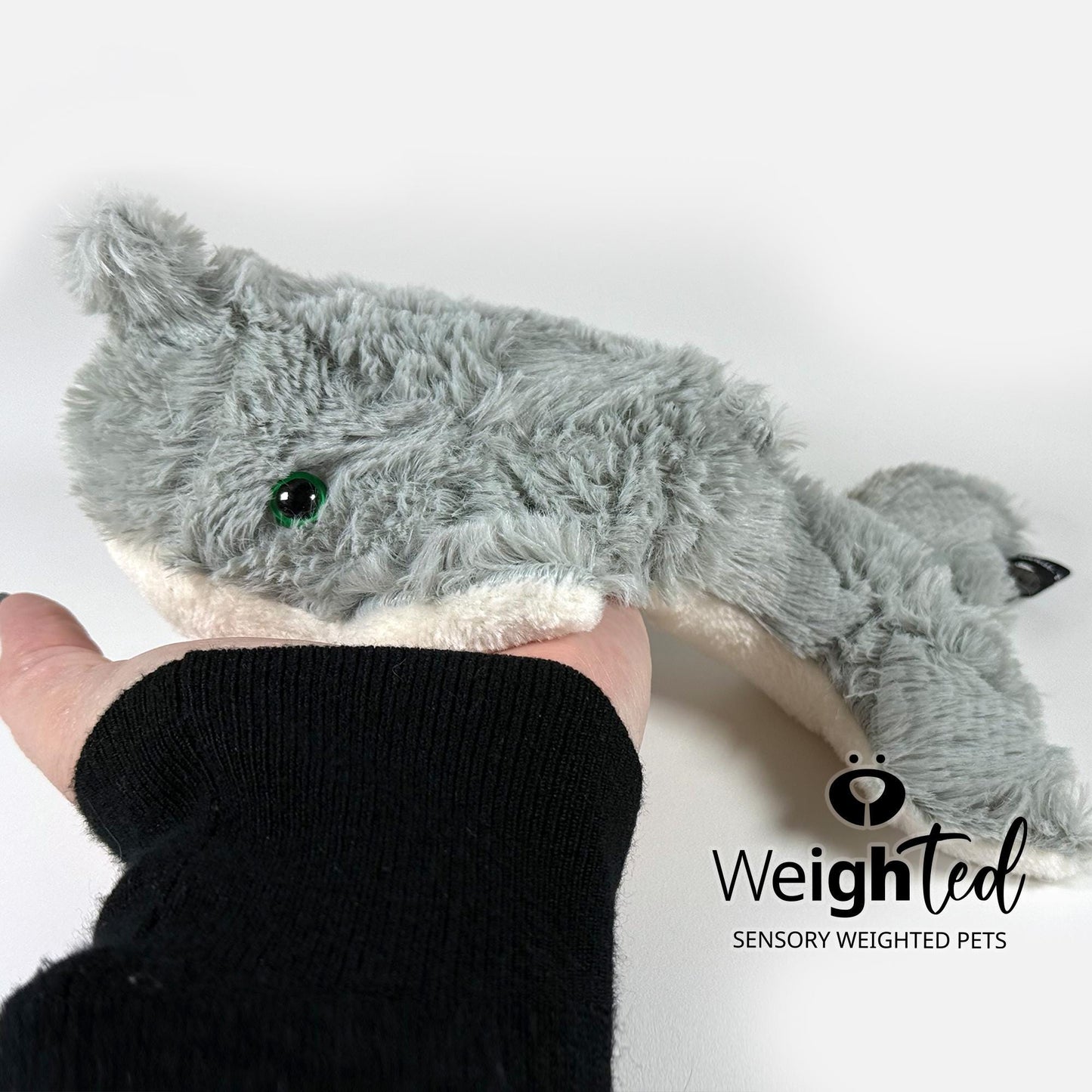 1.5kg Narwhal 'Eva'