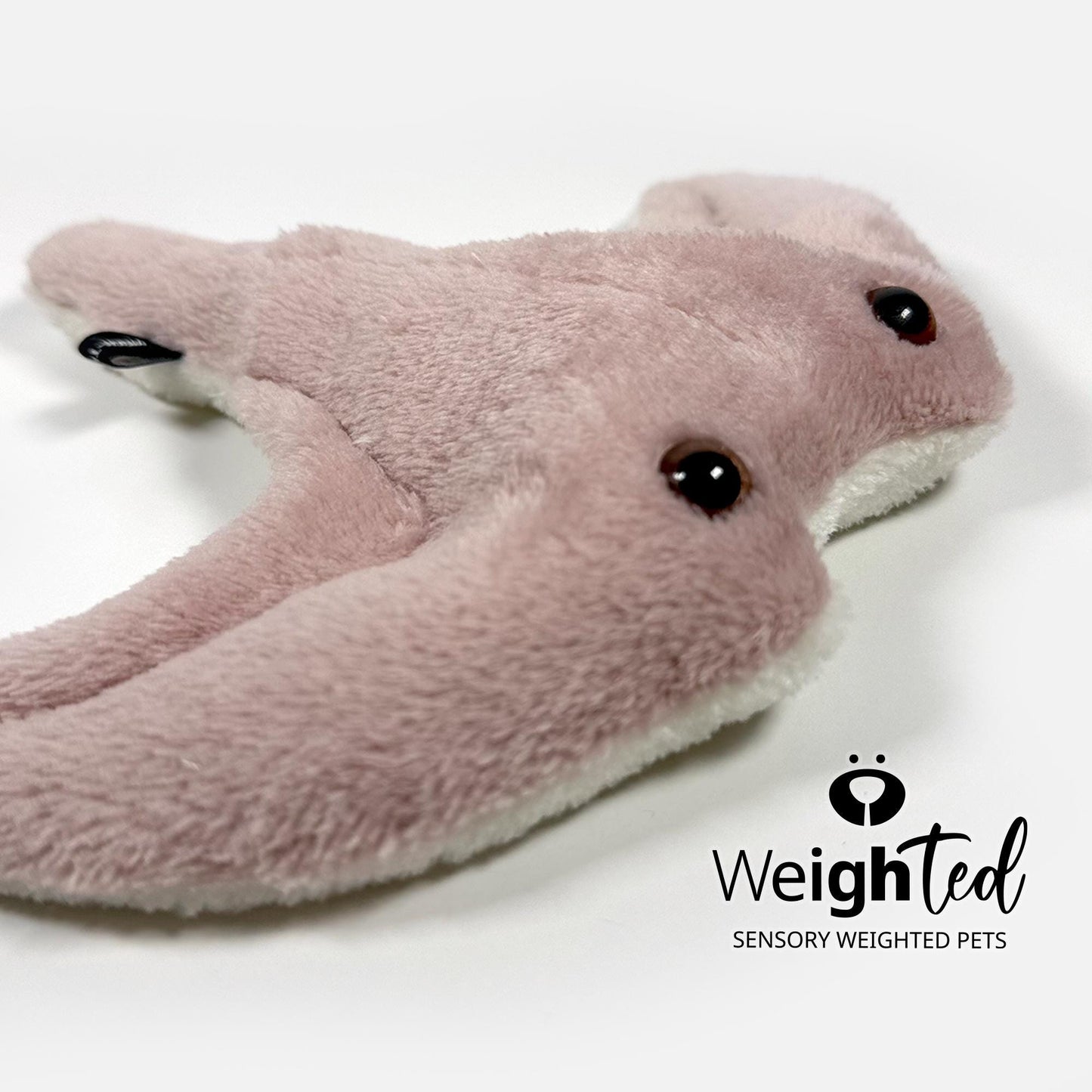 900g Stingray 'Blush'