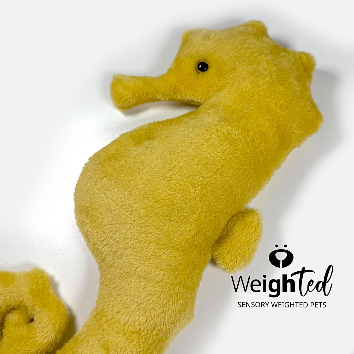 700g Seahorse 'Penelope'