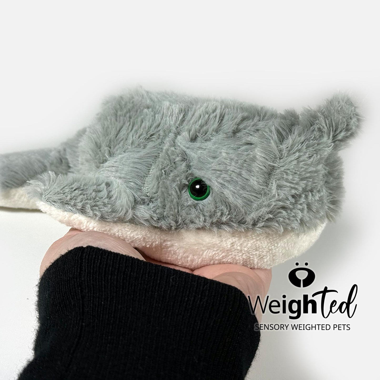 1.5kg Narwhal 'Eva'