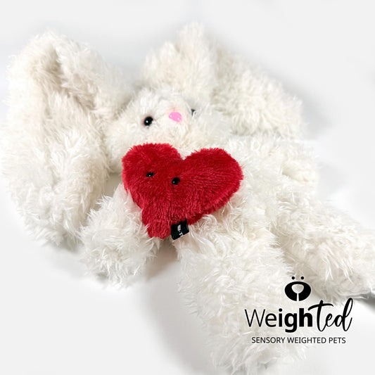 2.2kg Bunny Rabbit 'Ava' with Mini Pocket Heart