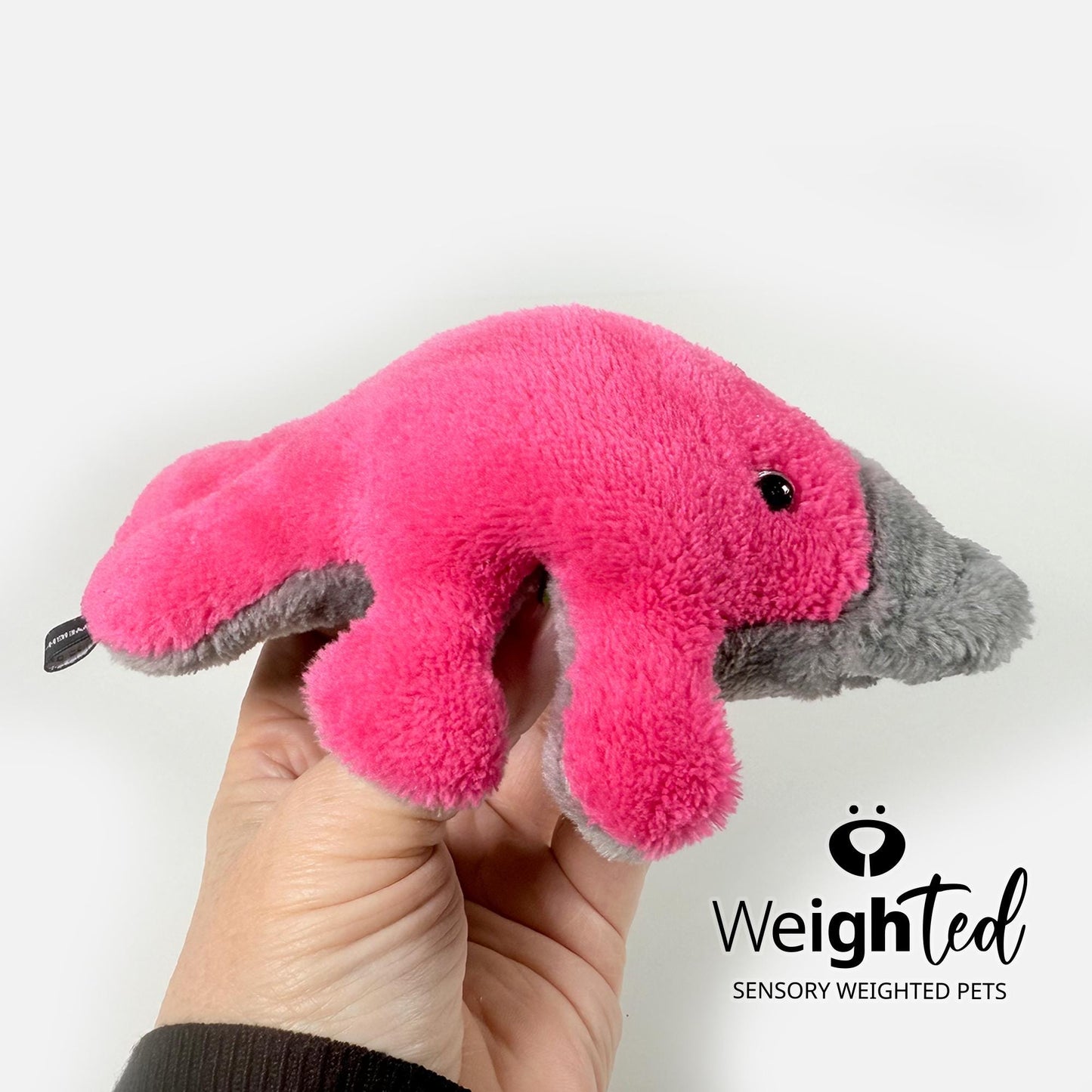 750g Pocket Platypus 'Bonnie'