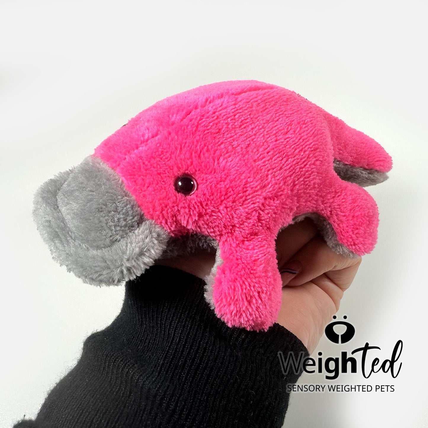 750g Pocket Platypus 'Bonnie'