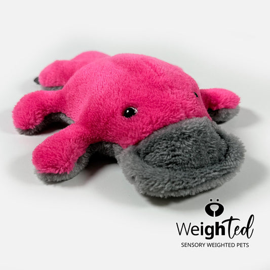 750g Pocket Platypus 'Bonnie'