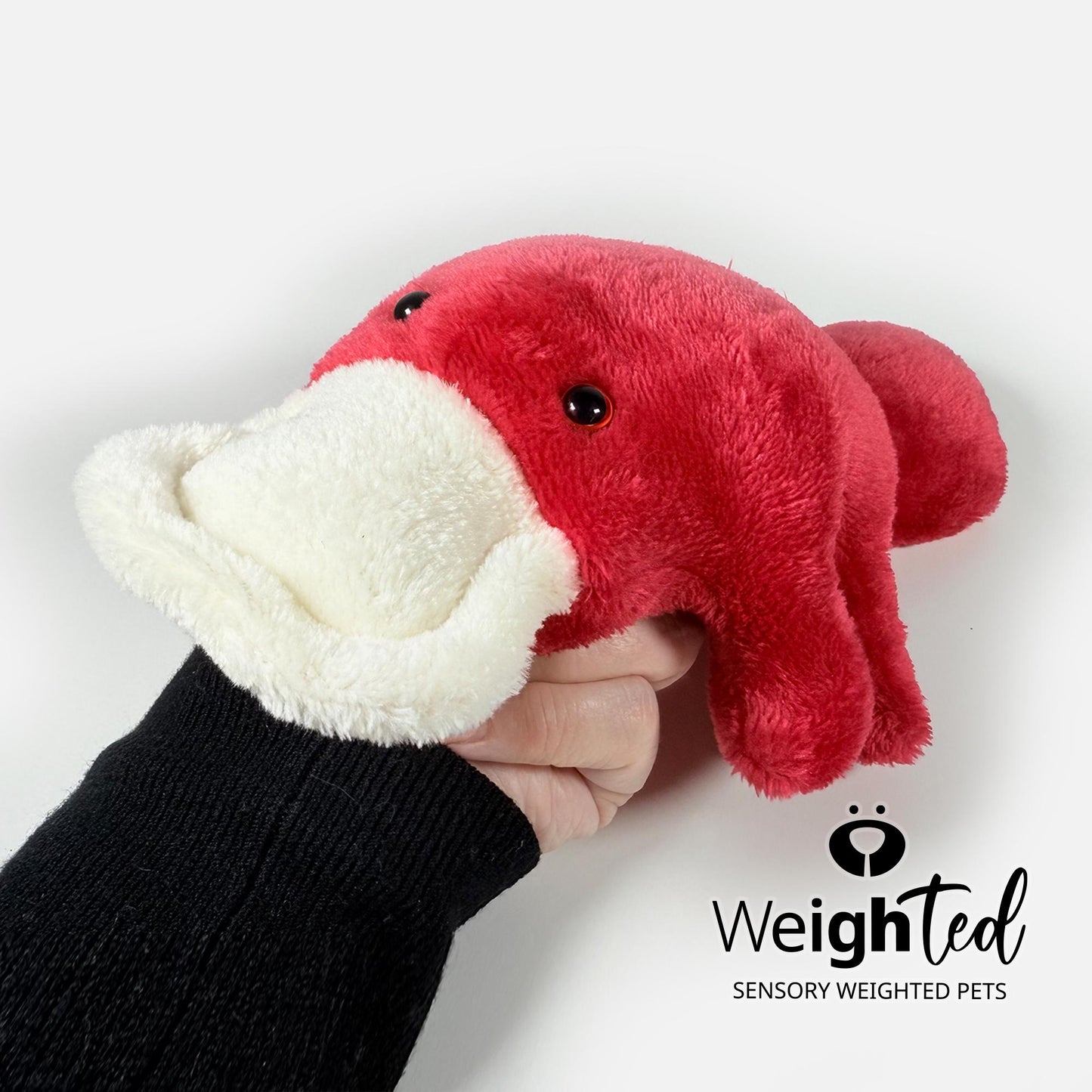 2.2kg Platypus 'Scarlett’