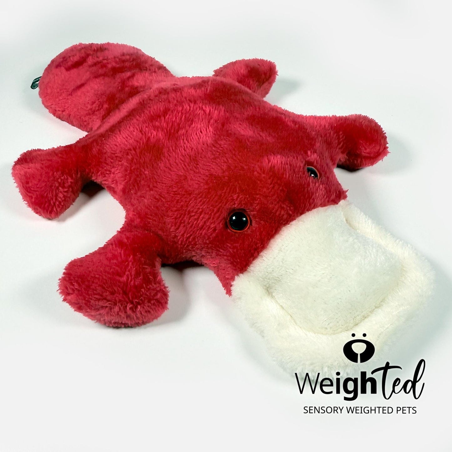 2.2kg Platypus 'Scarlett’