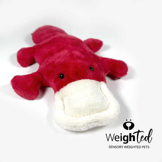 2.2kg Platypus 'Scarlett’