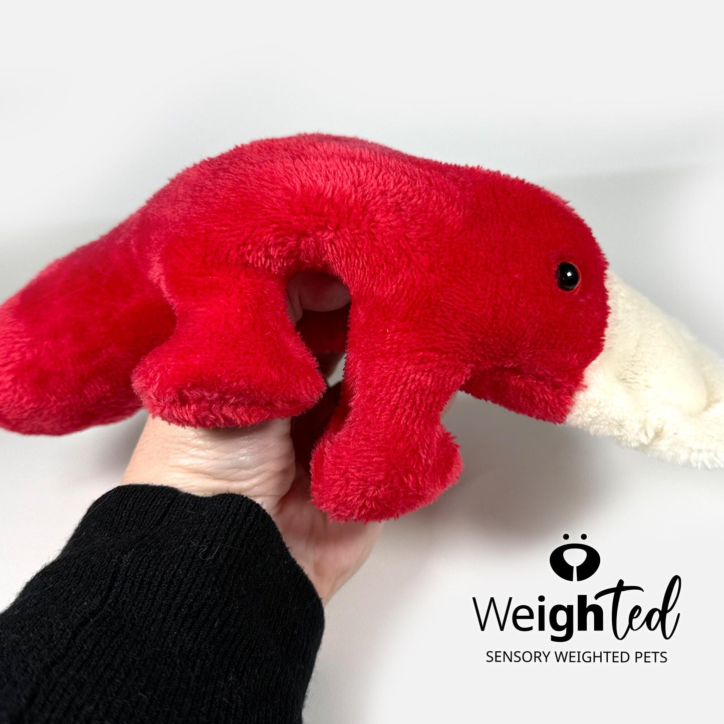 2.2kg Platypus 'Scarlett’