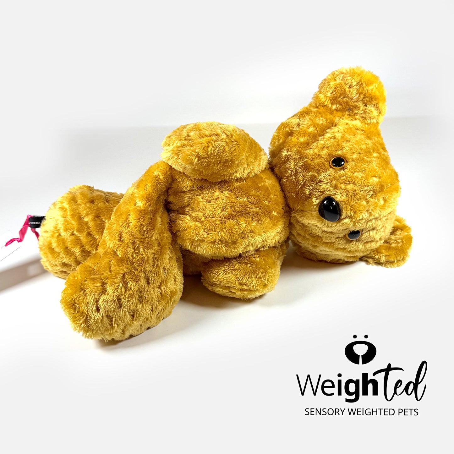 2.6kg Teddy Bear 'Vera'