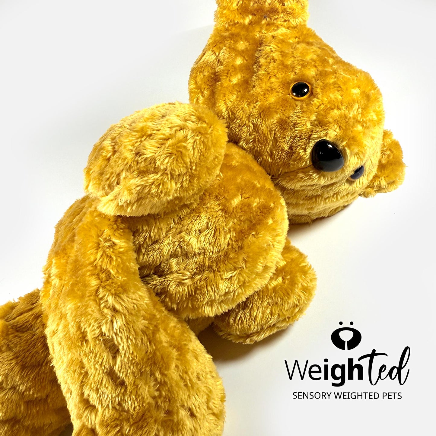 2.6kg Teddy Bear 'Vera'