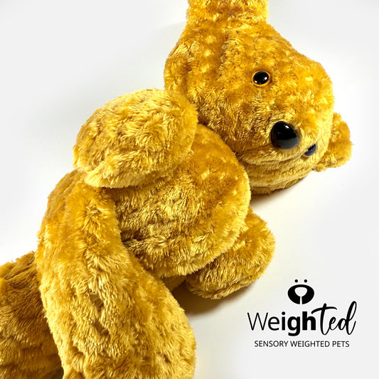 2.6kg Teddy Bear 'Vera'