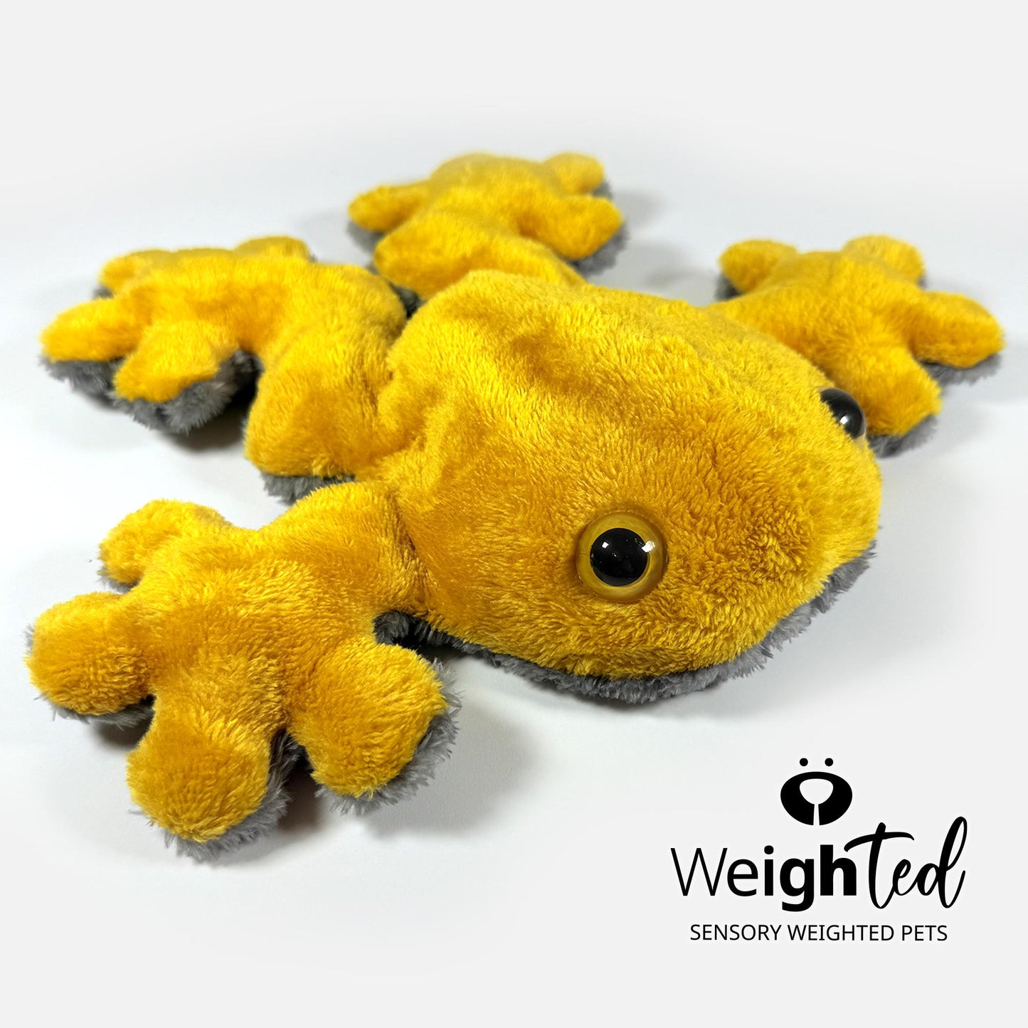 1kg Frog 'Goldie'