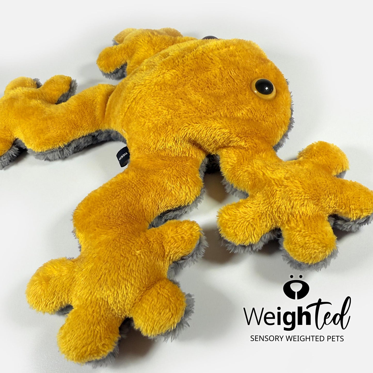 1kg Frog 'Goldie'