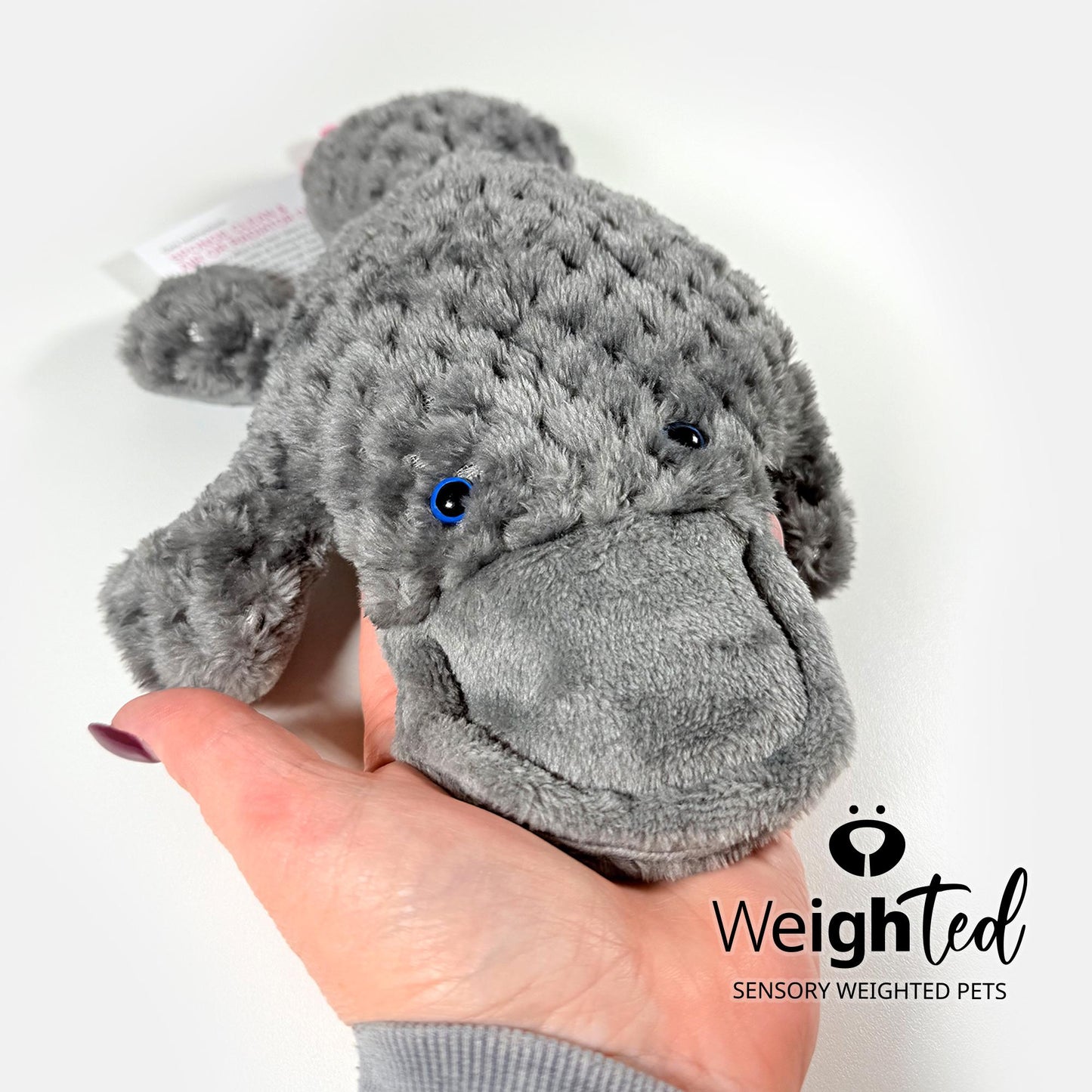 1kg Platypus 'Fitzwilliam'