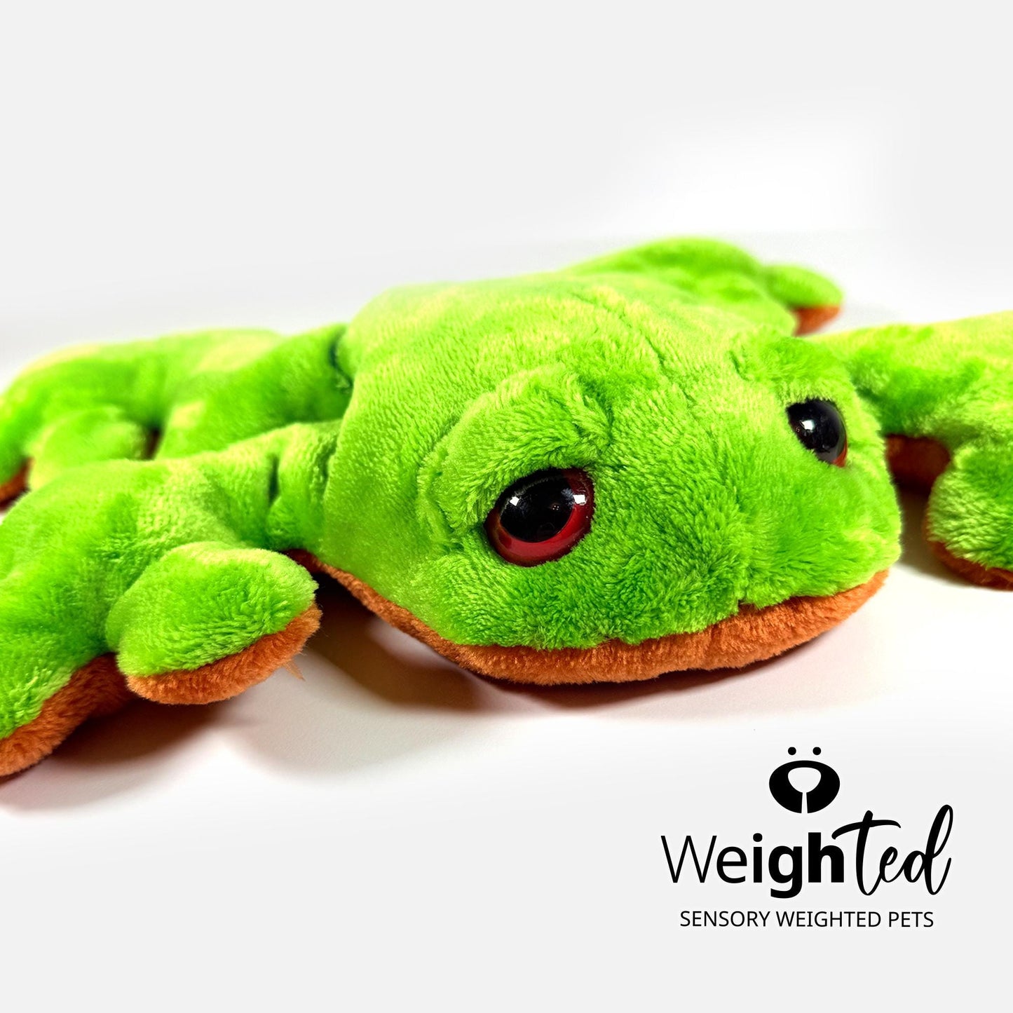 1kg Frog 'Willow'