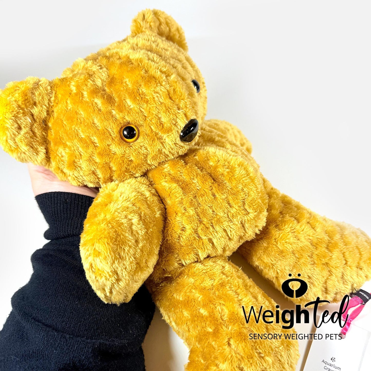 2.6kg Teddy Bear 'Vera'
