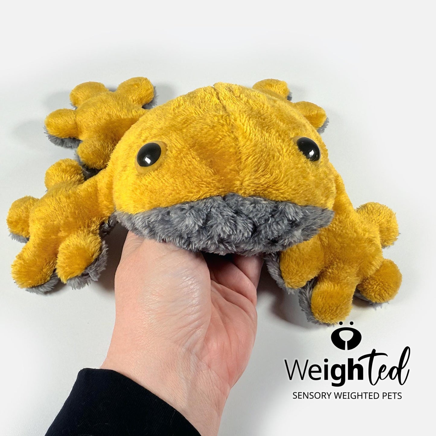 1kg Frog 'Goldie'
