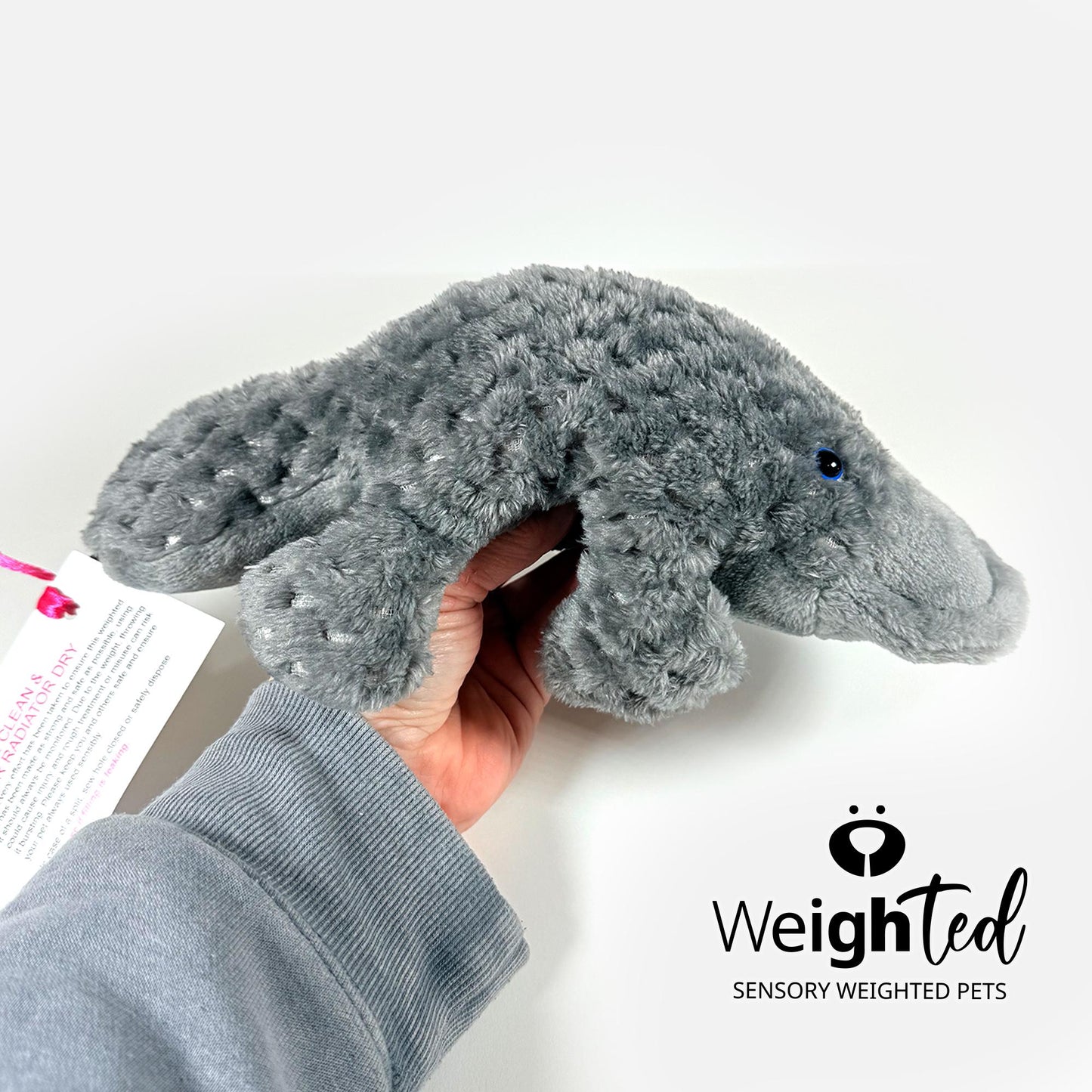 1kg Platypus 'Fitzwilliam'