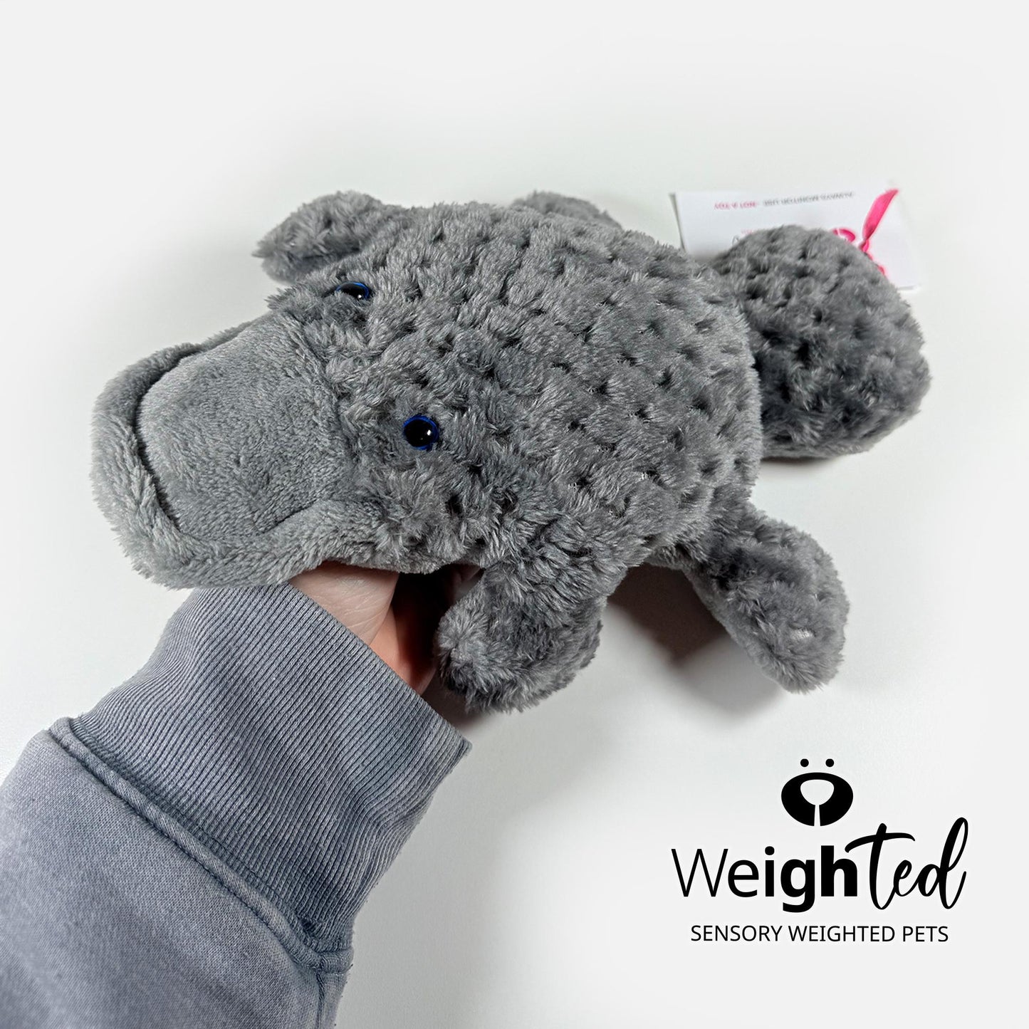 1kg Platypus 'Fitzwilliam'