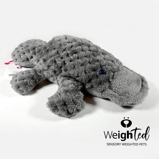 1kg Platypus 'Fitzwilliam'