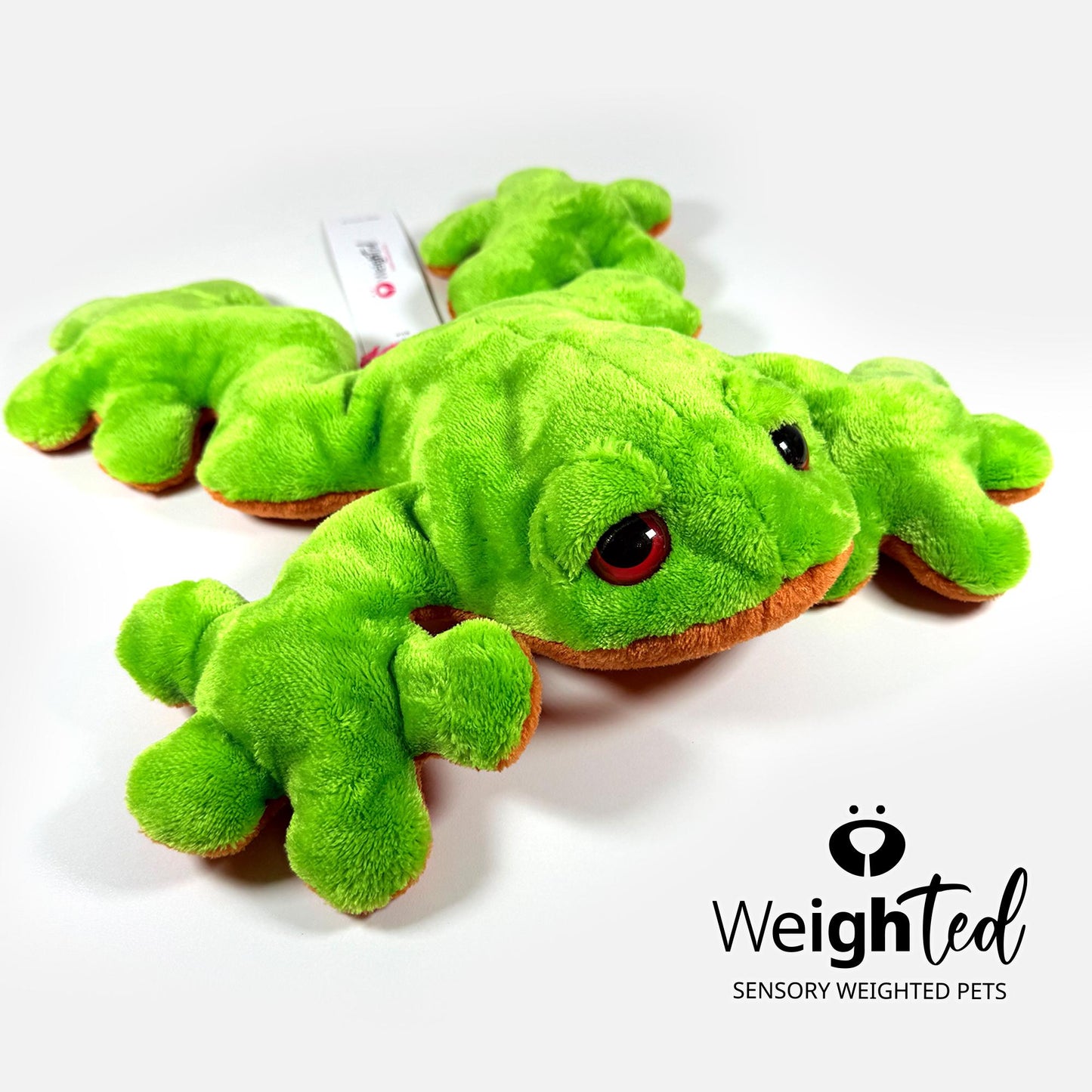 1kg Frog 'Willow'