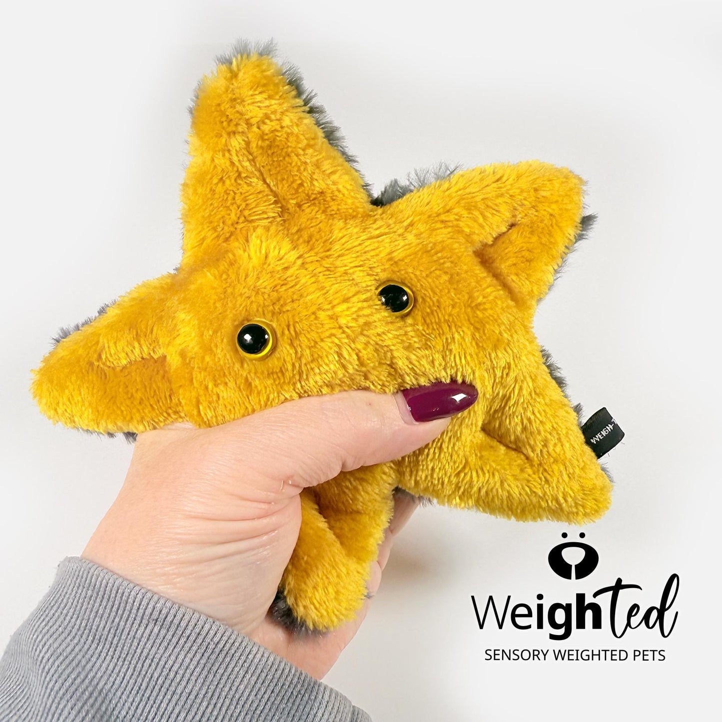 600g Pocket Starfish 'Sol'