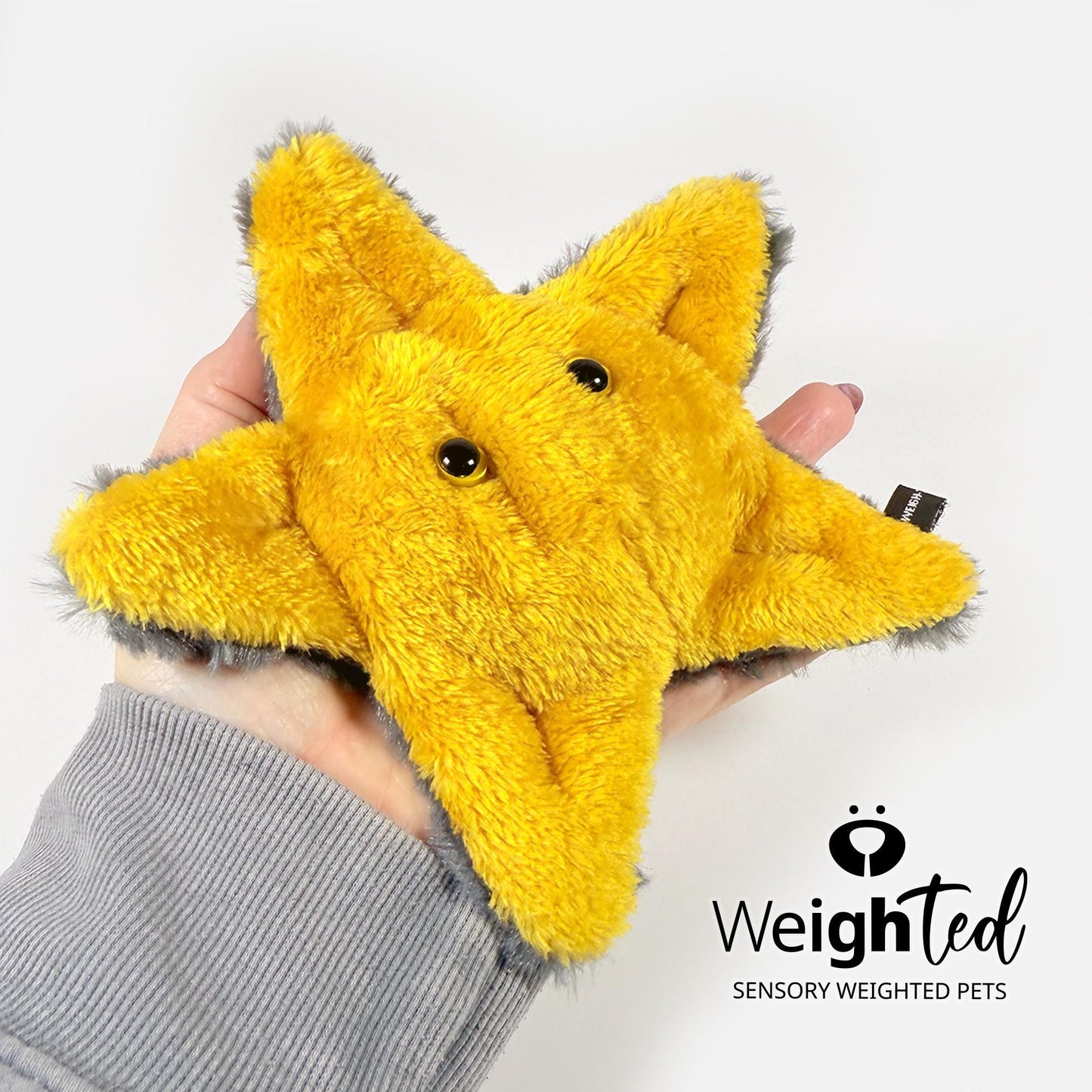 600g Pocket Starfish 'Sol'