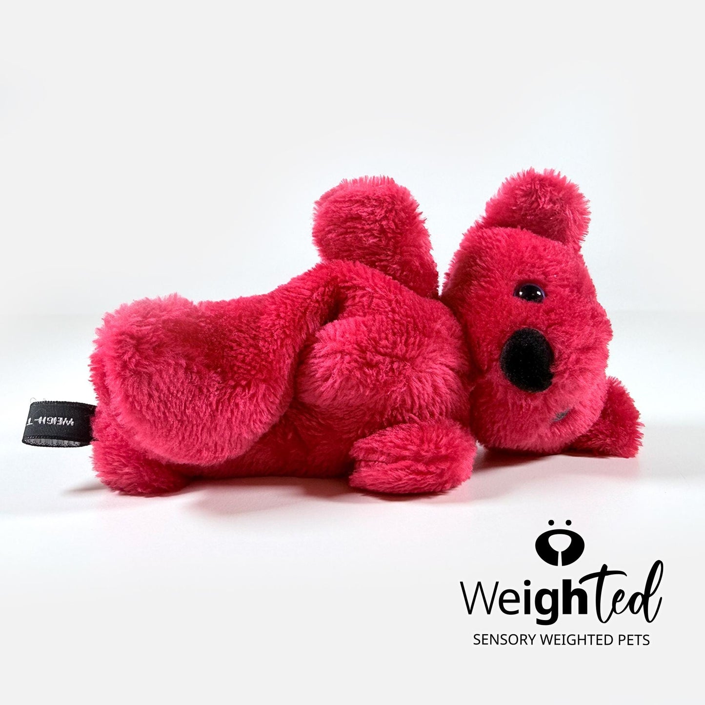 500g Pocket Teddy Bear 'Tom'