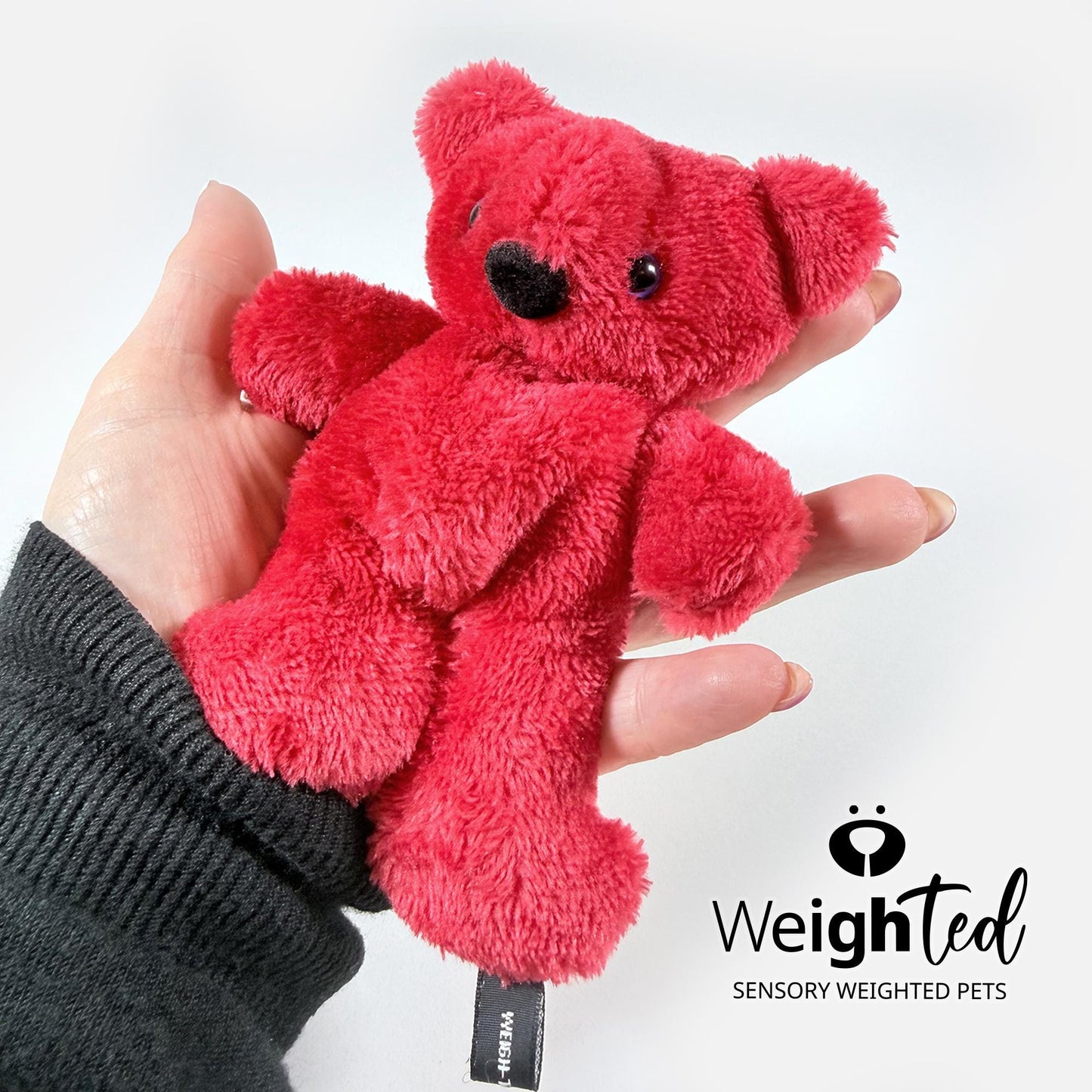 500g Pocket Teddy Bear 'Tom'