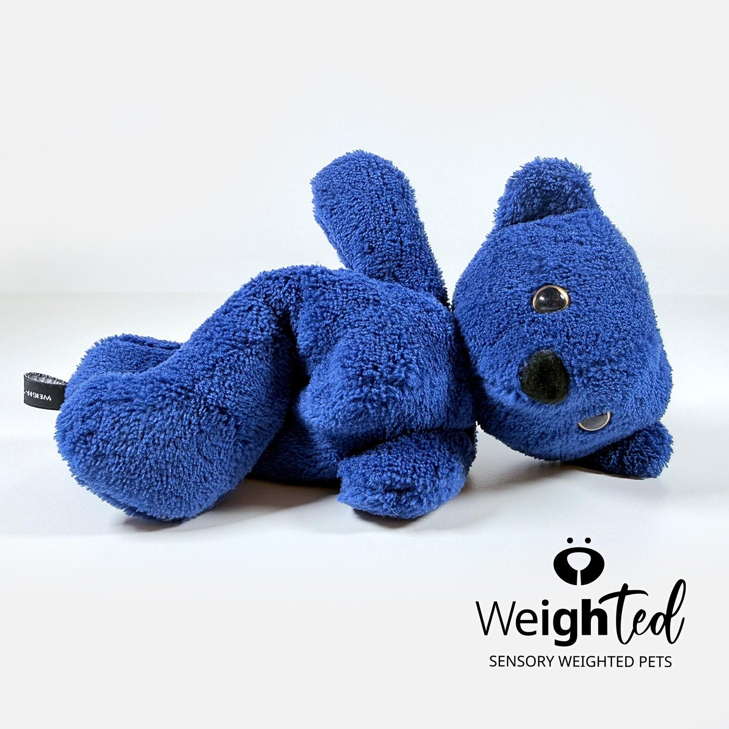 450g Teddy Bear 'Sapphire'