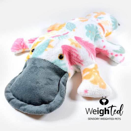 1.5kg Platypus 'Autumn'