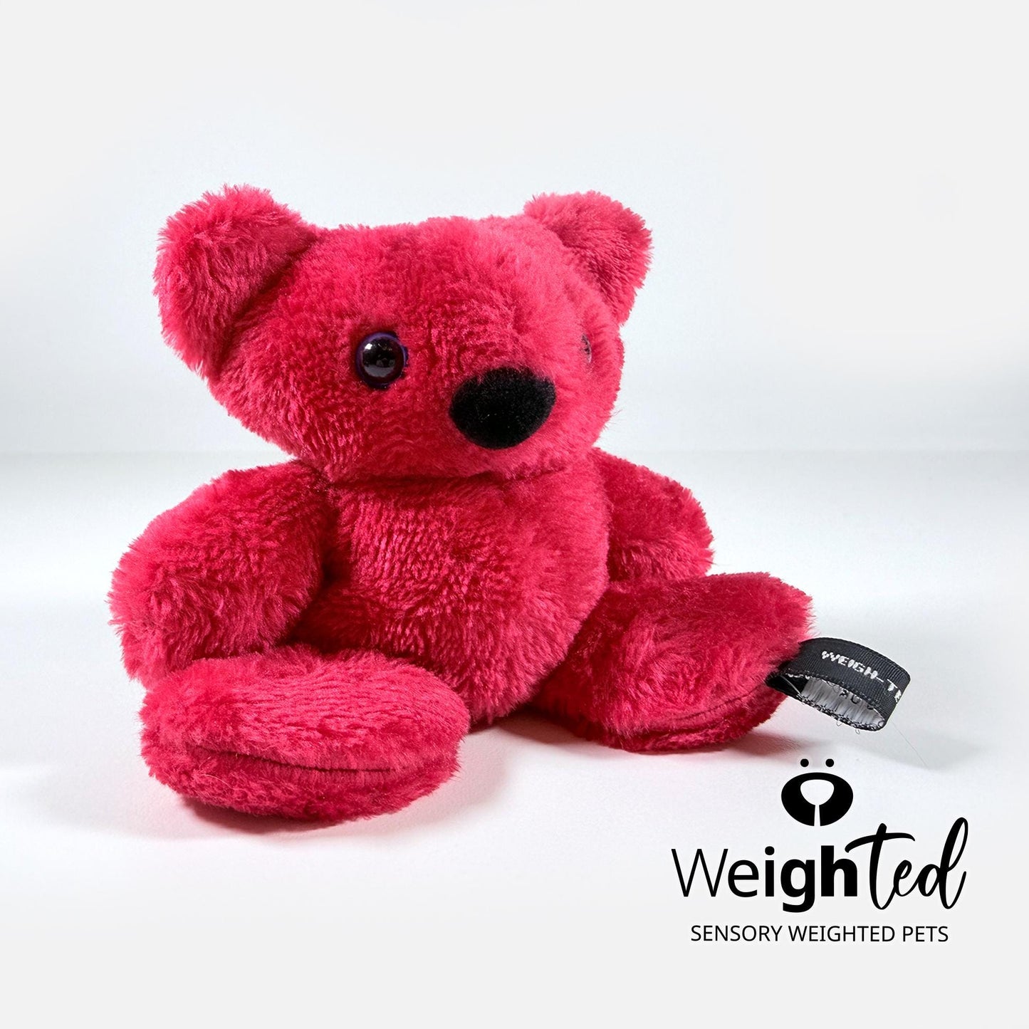 500g Pocket Teddy Bear 'Tom'