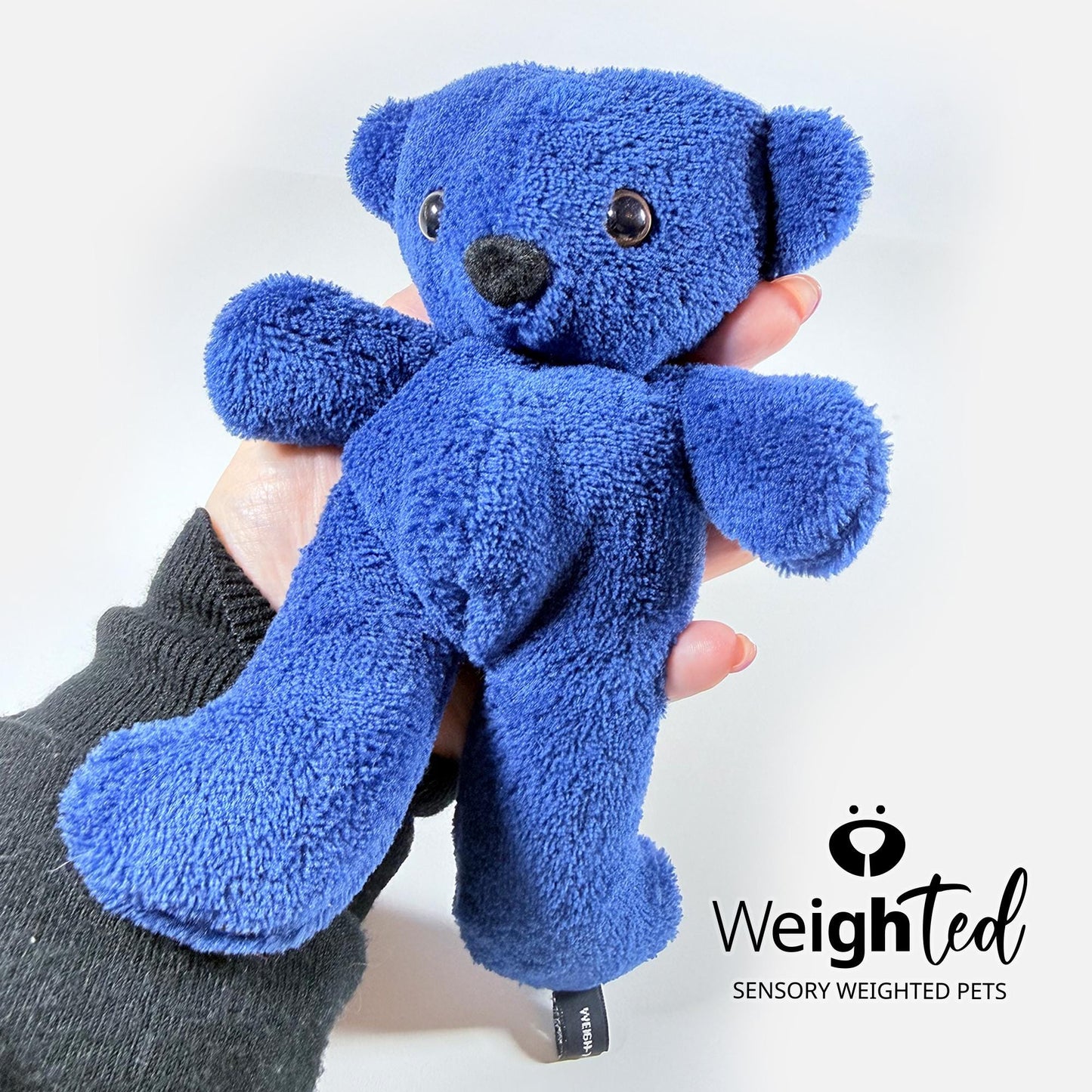 450g Teddy Bear 'Sapphire'