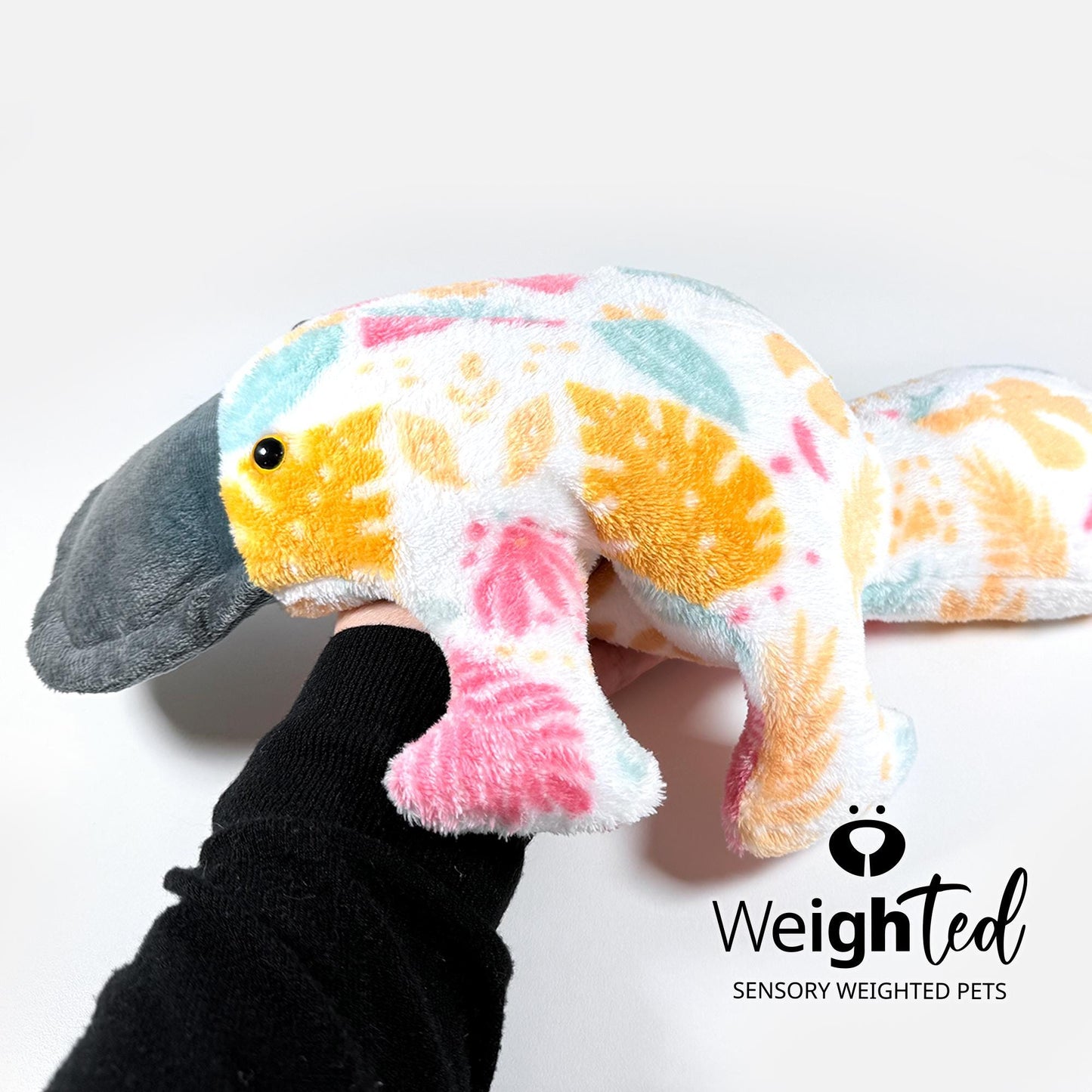1.5kg Platypus 'Autumn'