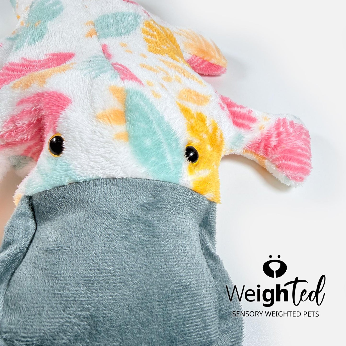 1.5kg Platypus 'Autumn'