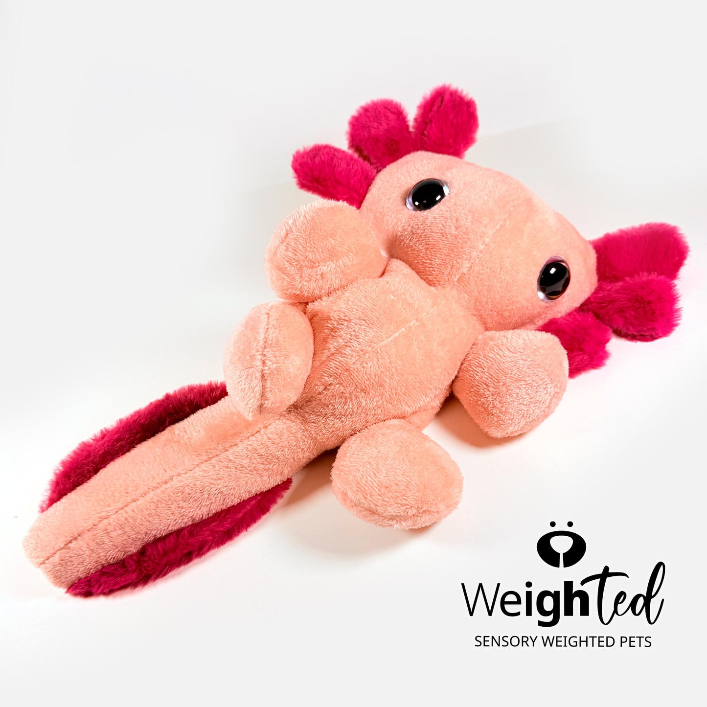 3kg Axolotl 'Lychee'
