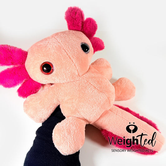 3kg Axolotl 'Lychee'
