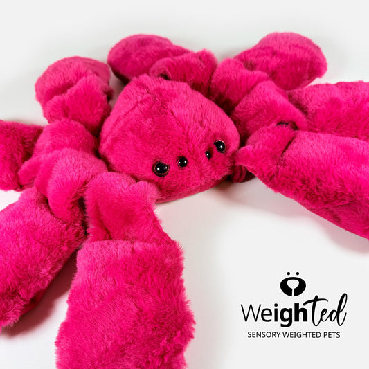 2.7kg Spider 'Maggie'