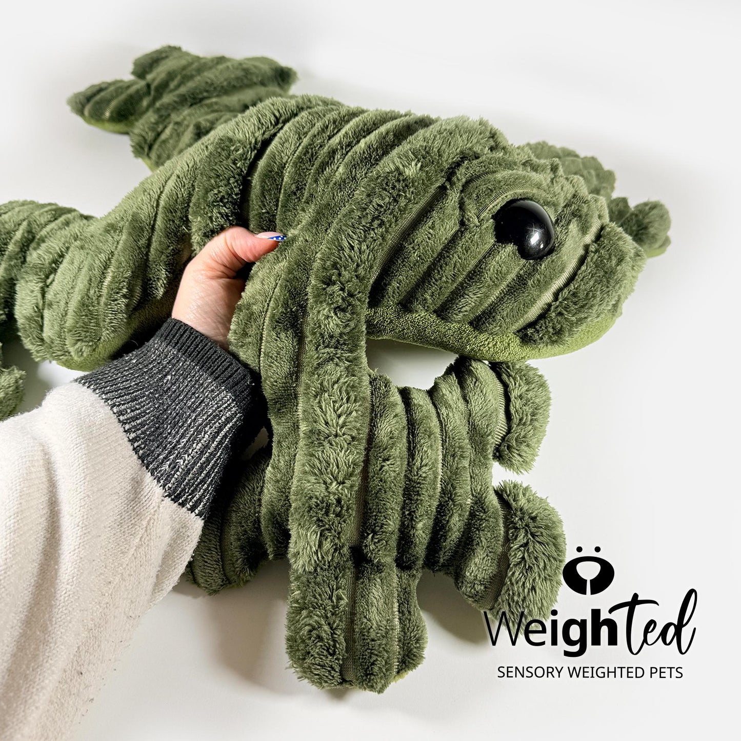 5.5kg Giant Frog 'Hopkin'