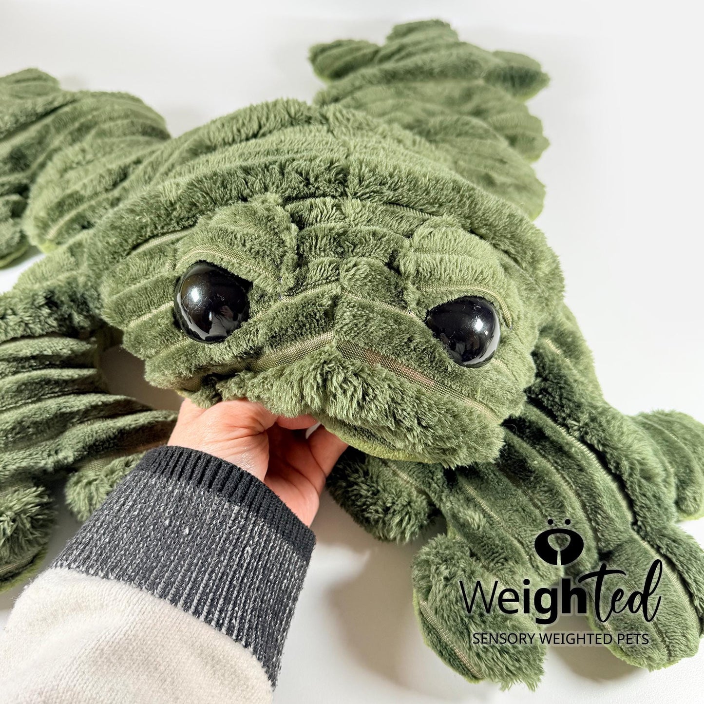 5.5kg Giant Frog 'Hopkin'
