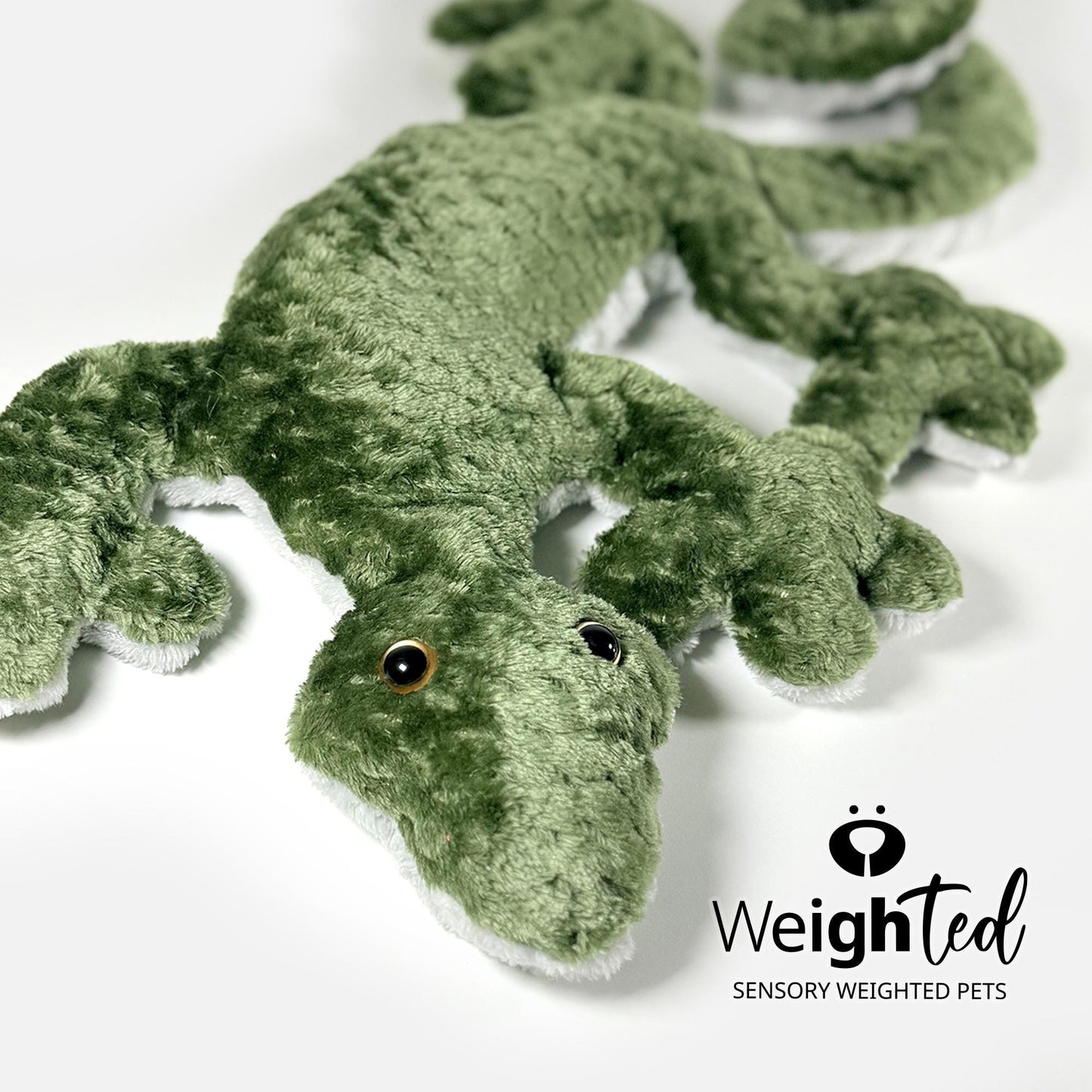 2.8kg Lizard 'Kiwi'