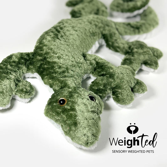 2.8kg Lizard 'Kiwi'