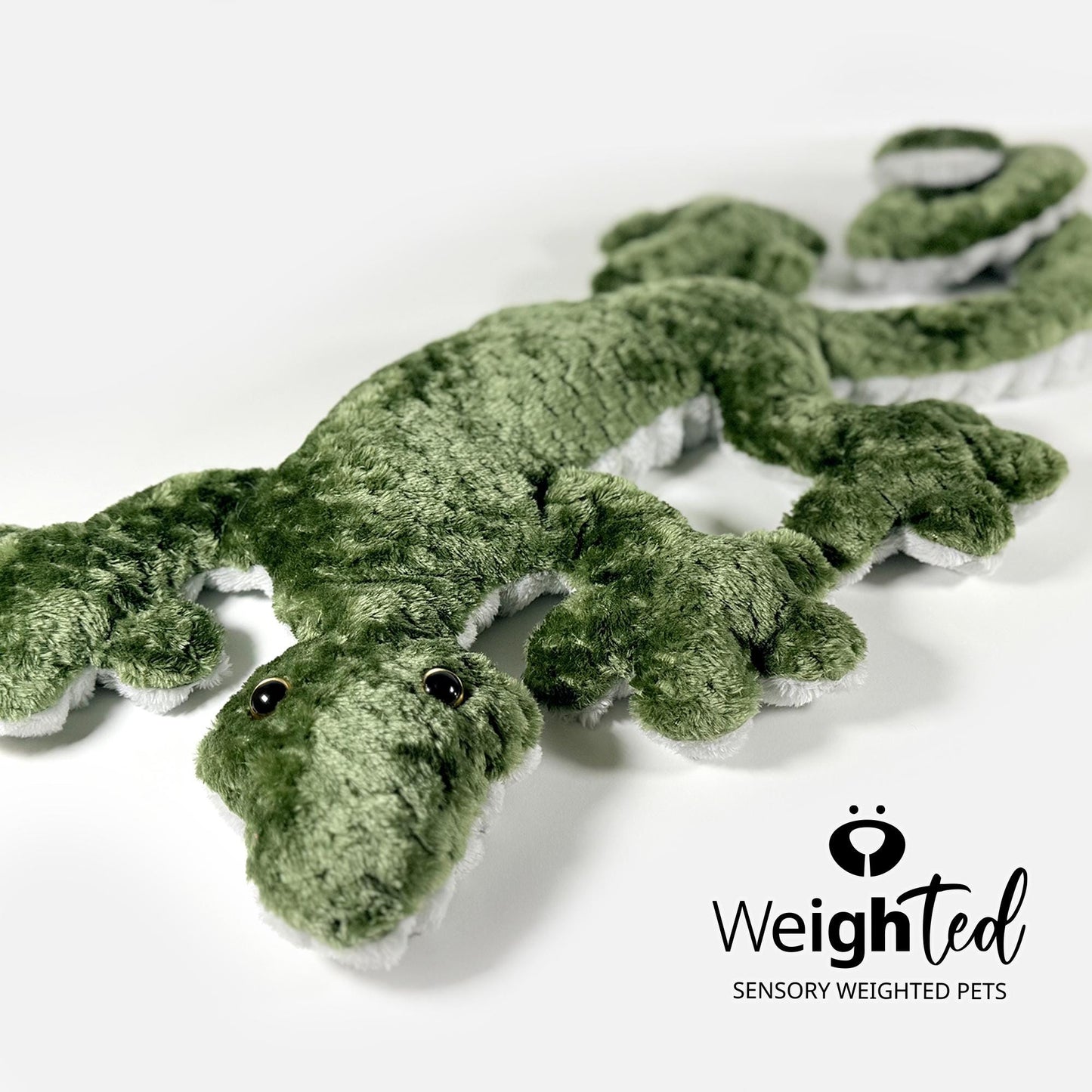 2.8kg Lizard 'Kiwi'