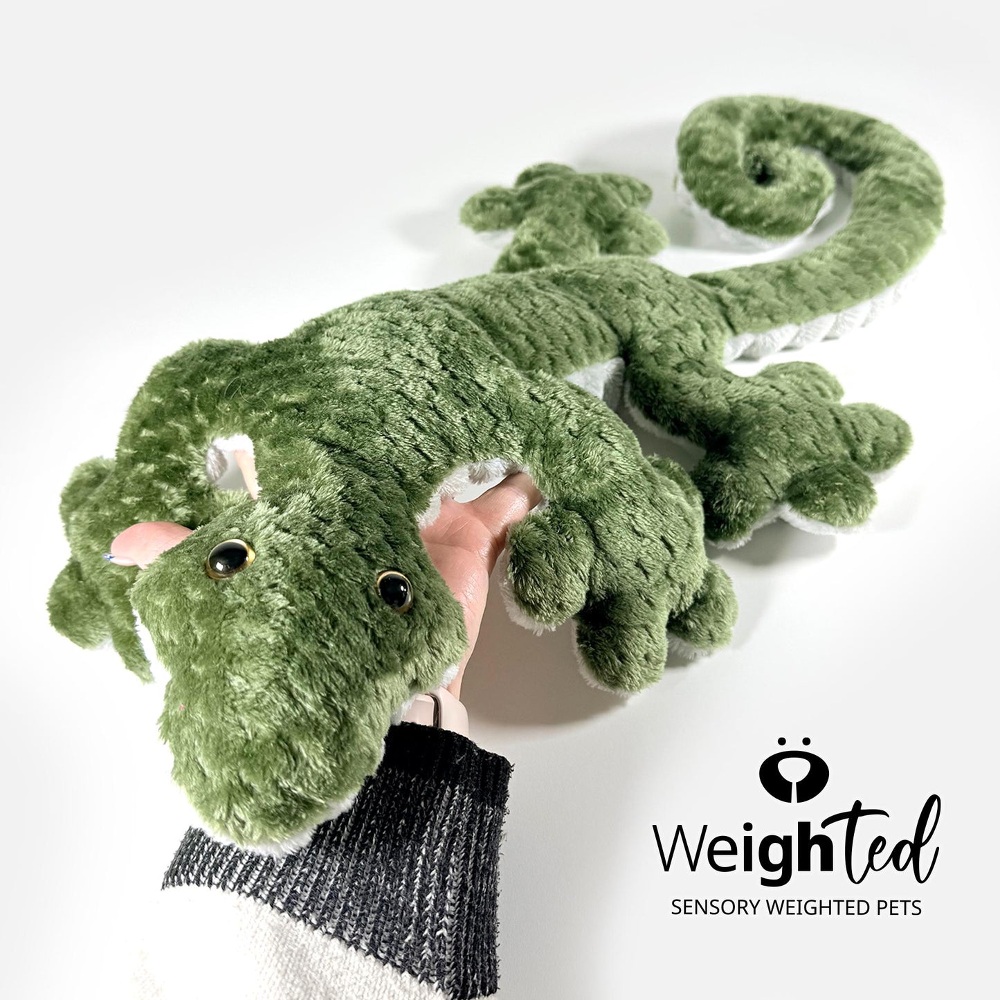 2.8kg Lizard 'Kiwi'