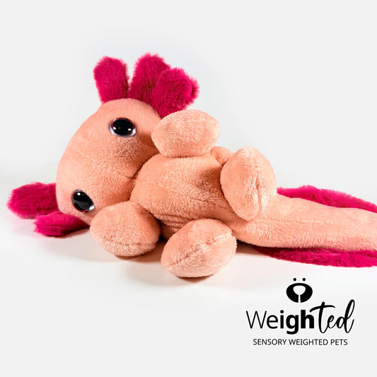 3kg Axolotl 'Lychee'