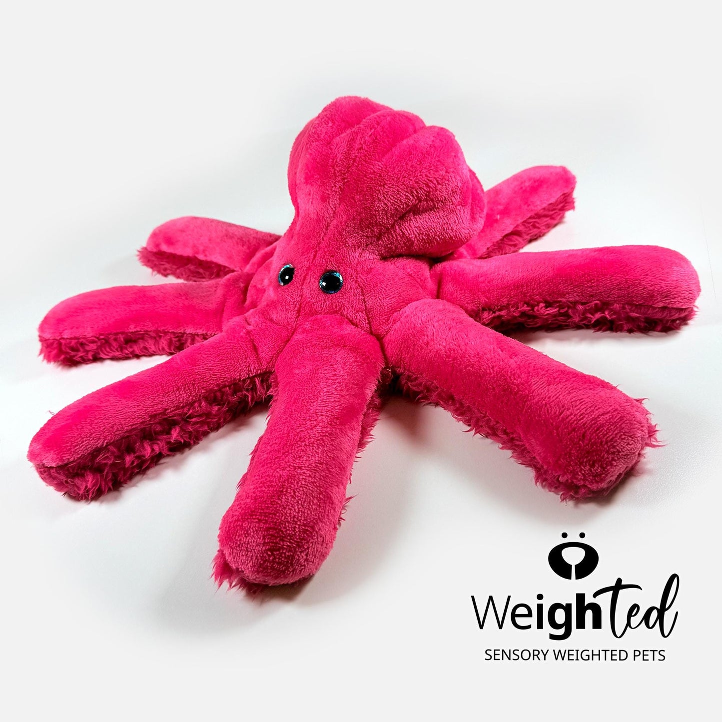 3kg Octopus 'Rogue'